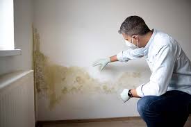 Best Commercial Mold Inspection  in East Lansdowne, PA